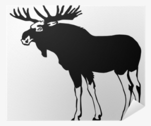 Vector