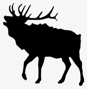 Moose Emblem Bo - Hirsch Bilder Schwarz Weiß