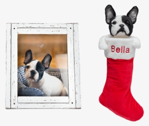 5cuddleclones Custom Holiday Stocking, $139 - Pet