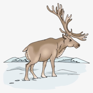 Free Moose Clipart - Animale Din Taigaua Siberiana