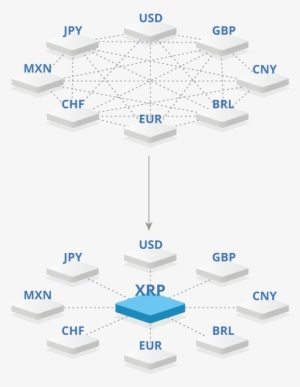 Benifit@2x Nocap - Xrp The Standard