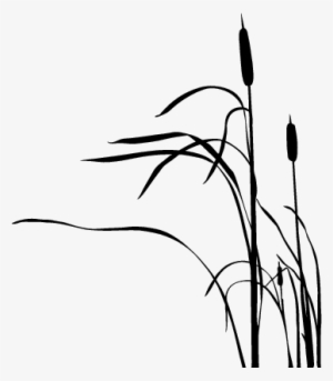 Cattail Silhouette At Getdrawings - Cat Tail Plants Silhouette