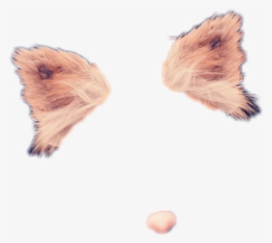 Wolf Dog Filter Snapchat Socialmedia Stickers Freetoedi - Snapchat Filters Png Stikers