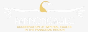 Follow The Further News Of The Imperial Eagles And