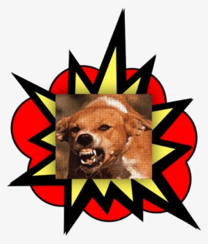 Great Tool To Genotype, Analyse And Visualise Submitted - Havaianas Top Snoopy Thongs In White Size 10