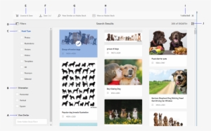 Search For Adobe Stock Assets And Filter Results From