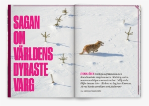 Filter 56 17 Vargen - Springer Science+business Media