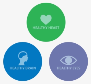 Every Body Needs It - Korean Language