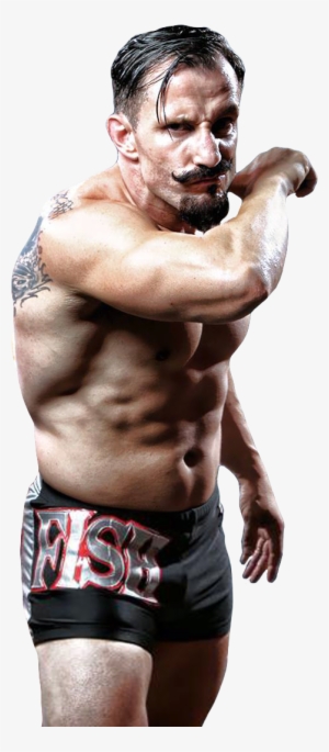 Render Of Bobby Fish Bobby Fish, Ring Of Honor, Professional