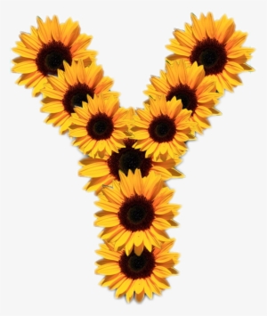 Sunflowers Badge Reel 5 To Choose From Retractable