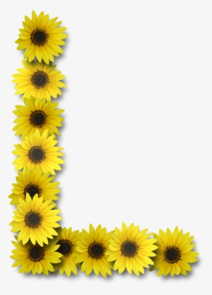 Sunflowers Png Alamat Ng - Sunflower Letter H