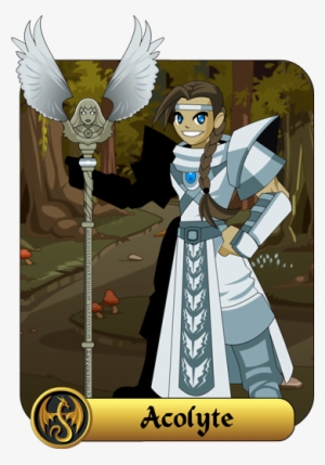 Healer Spellbreaker Wizard - Adventure Quest Worlds