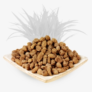 Every Time We Are Present In More Places, Ask For This - Tiger Nuts 25 Kg