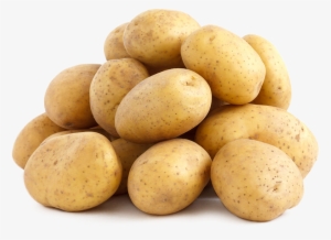 Ingredients - Holland Potato