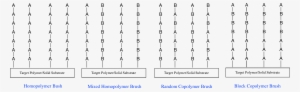 Brush Polymer Classifications Graphic - Diagram