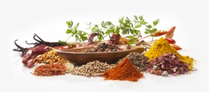 Dinner From 5-10pm - Chimichurri C/pimenta 300g - Space Green