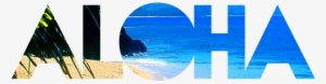 Source - Static - Tumblr - Com - Aloha Tumblr Transparent