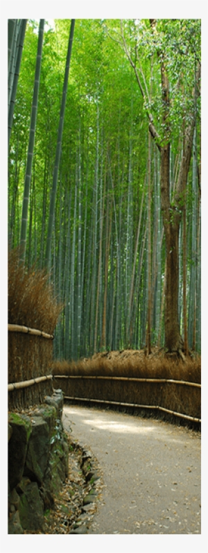 Bamboo Forest Walkway Door Mural Landscapes & Nature - Mural