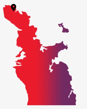 Coromandel Coastal Walkway - Hauraki Gulf