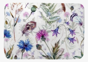 Centaurea Cyanus Polka Dot Series