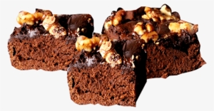 Clip Art Free Purchase Delicious Walnut Online At Affordable - Drawing