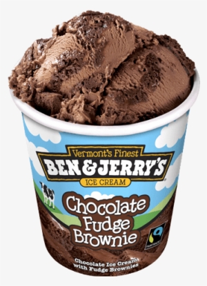 Ben & Jerry's Chocolate Fudge Brownie - Ben And Jerry Fish Food