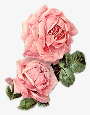 Vintage Roses, Vintage Floral, Vintage Prints, Vintage - Vintage Pink Flowers Png
