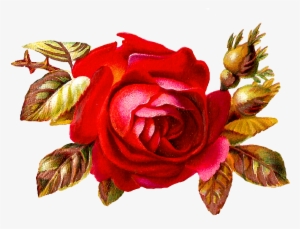 Afbeeldingsresultaat Voor Vintage Flower Png - Clip Art