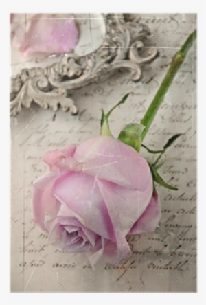 Petal