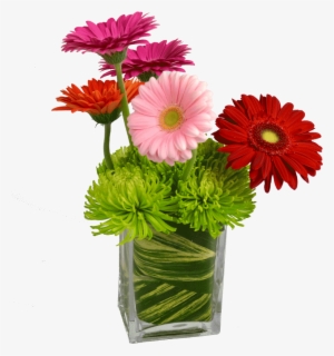 Fiels Of Daisies - Definition