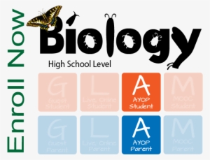 Ayop - Butterfly Necklace Circle Charm