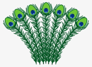 Open - Peacock Feather Coat Of Arms