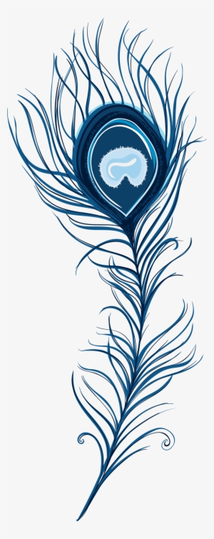 Peacock Feather - Peacock Feather Art Png