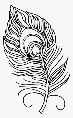 Clip Art Download Feather Clipart Black And White - Peacock Feather For Colouring