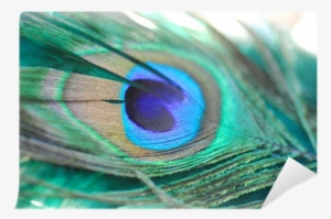 Purple Peacock Feather Png - Feather