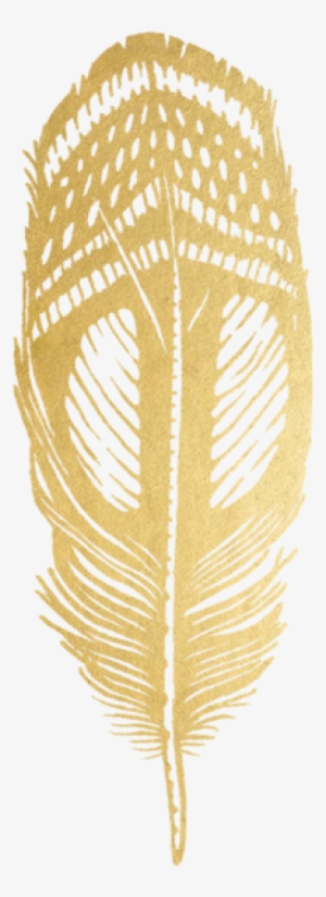 Quail Feather - Feather Gold