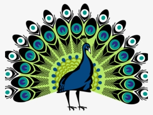 Peacock Clipart Png Format - Simple Colorful Peacock Drawing