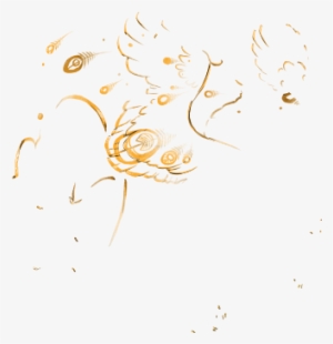 Shining Peacock Feathers Transparent - Illustration