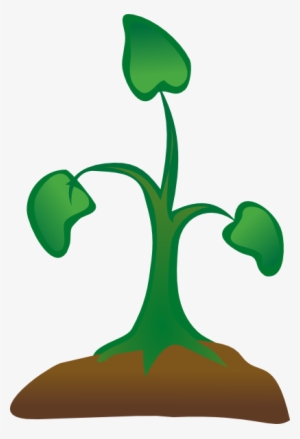 Seedling Clipart Sapling Cute Borders - Sapling Clipart Png