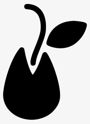 Seed Png Icon Free Download Onlinewebfonts Com - Seed