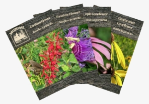 Custom Seed Packets - Packet Of Plant Seeds