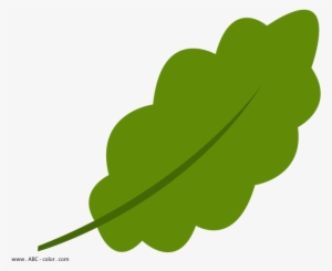 Vector Freeuse Library Raster - Дубовий Листочок