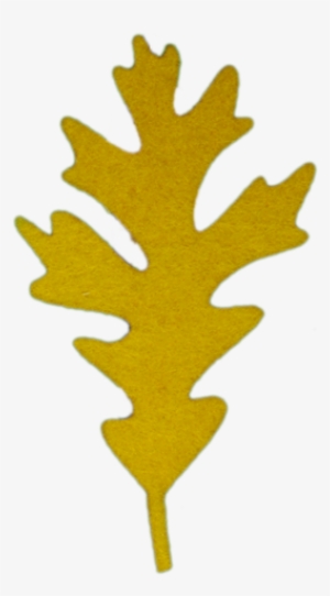 White Oak Leaves - Oak