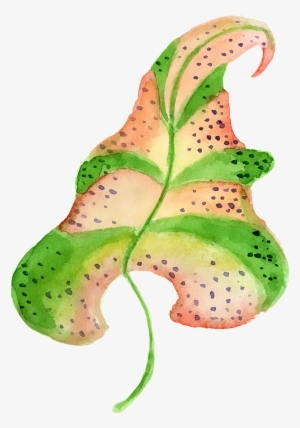 Hand Painted A Vivid Leaf Png Transparent - Portable Network Graphics