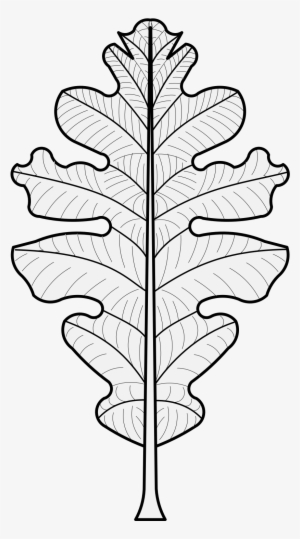 Details, Png - Oak Leaf Heraldry