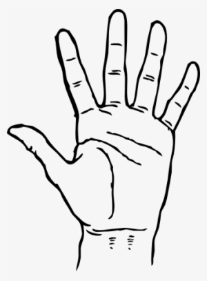 Net » Clip Art » Hand Palm Facing Out Black White Line - Hand Clipart Black And White