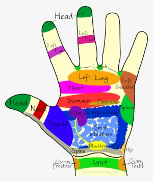Healing Clipart Right Hand - Acupressure By Baba Ramdev