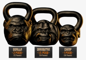 Primal Kettlebell