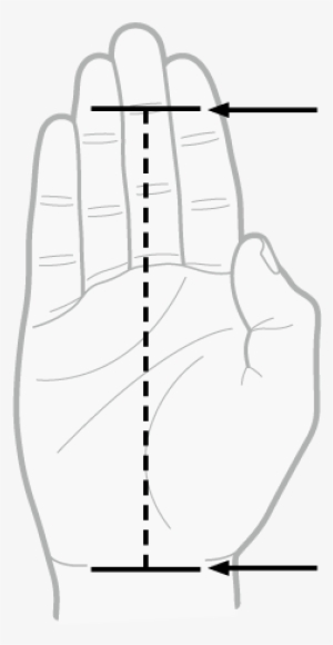Measure Your Hand From The First Joint Of Your Middle - Reebok