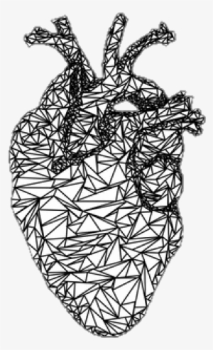 Black And White Heart Drawing